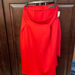 New York & Company Red Skirt